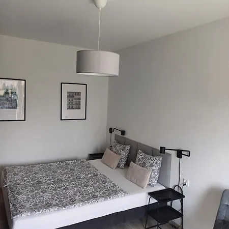 ホームステイ Spij W Kudowie I Goscinne *