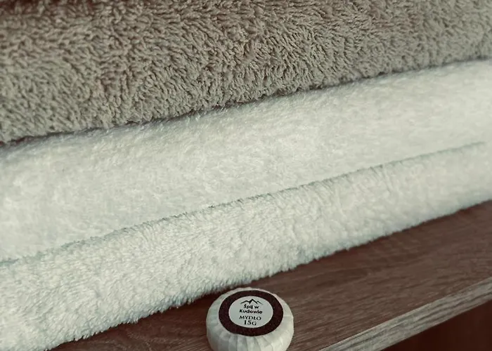 Spij W Kudowie I Goscinne 홈스테이